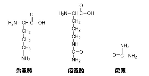 嘧啶胺廠家